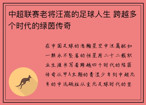 中超联赛老将汪嵩的足球人生 跨越多个时代的绿茵传奇